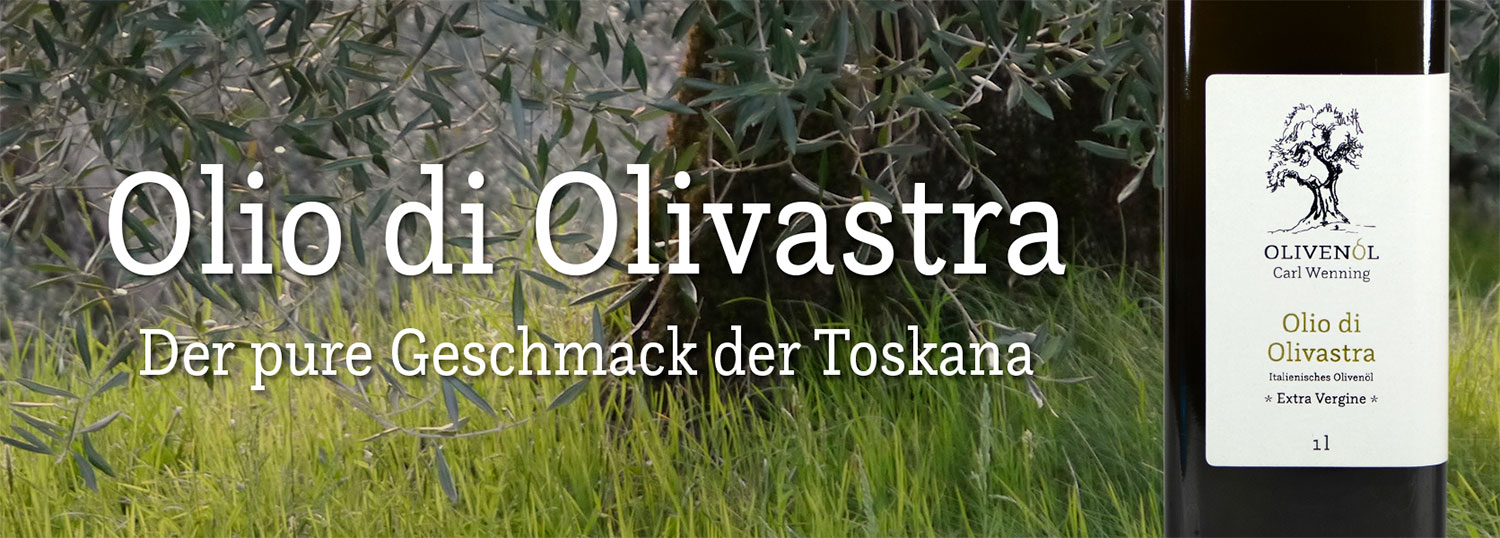 Olivenoel Olivastra